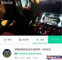 直播最新爆料新闻视频,最新爆料新闻视频深度解析