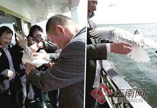 大理记者爆料新闻最新,揭秘当地最新热点事件