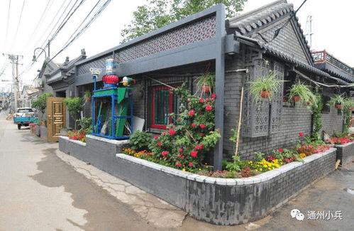 2025年下半年马皮肤最新爆料,神秘元素与时尚潮流的完美融合